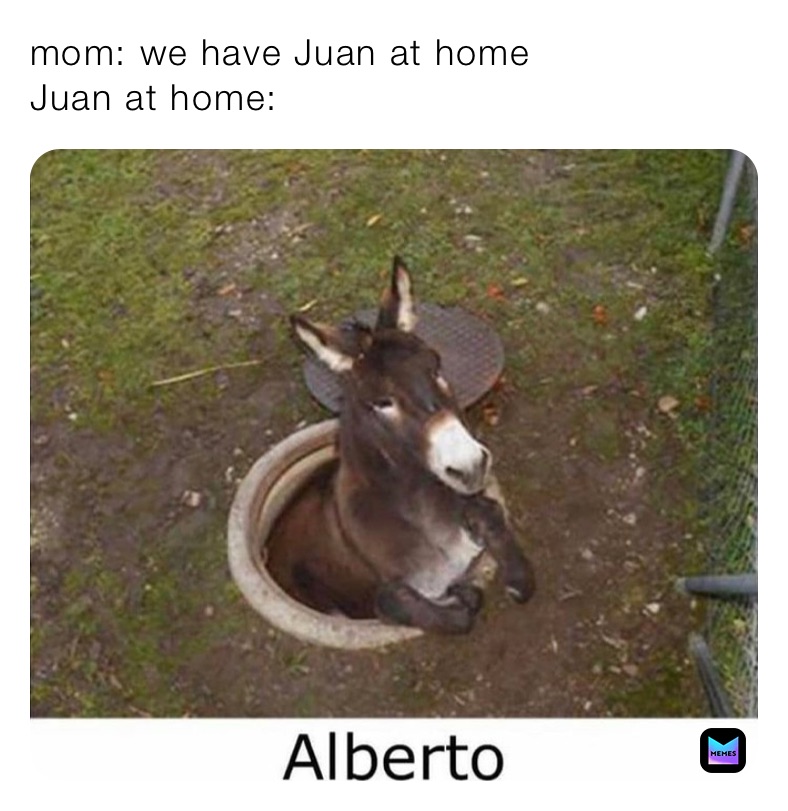 mom: we have Juan at home
Juan at home: