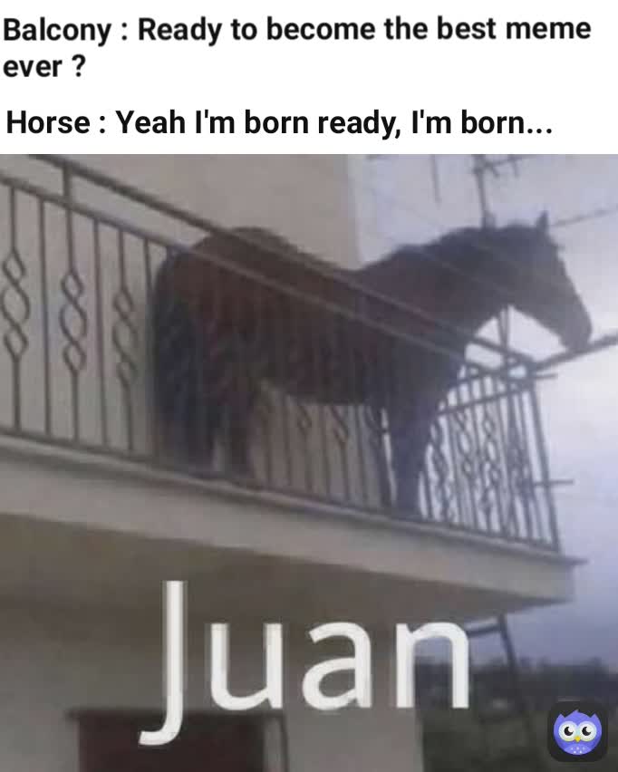 Balcony : Ready to become the best meme ever ? Horse : Yeah I'm born ready, I'm born...