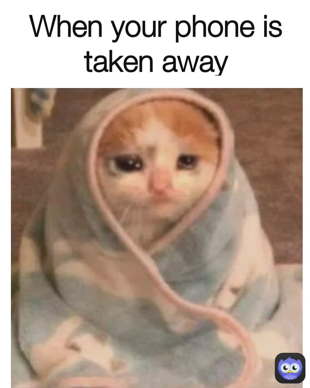 Meme by charlie.emily