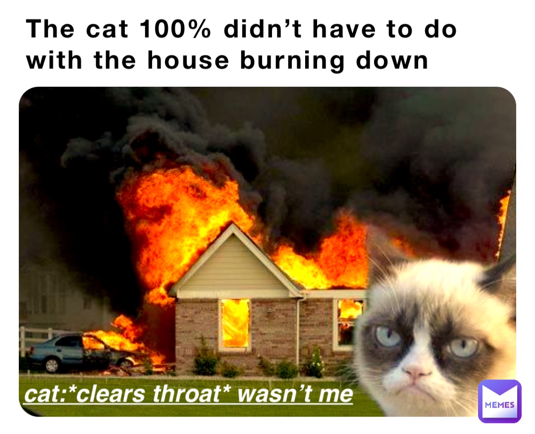 The cat 100% didn’t have to do with the house burning down Cat:*clears throat* wasn’t me