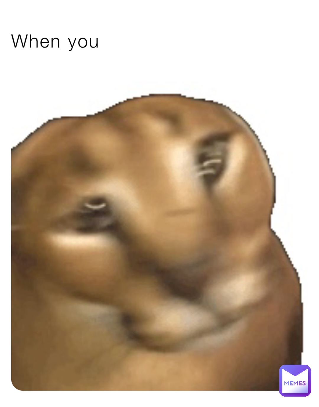 Meme by bigfloppaisepic