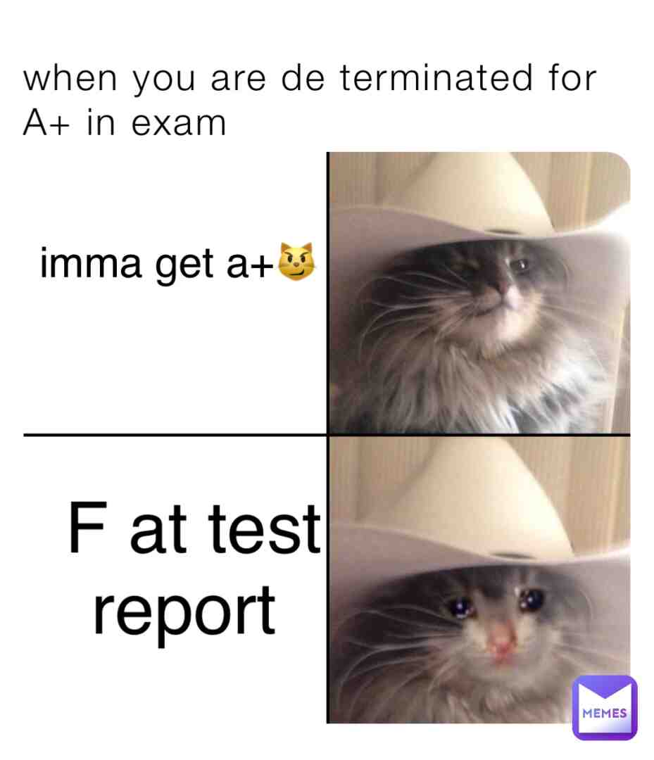 Meme preview