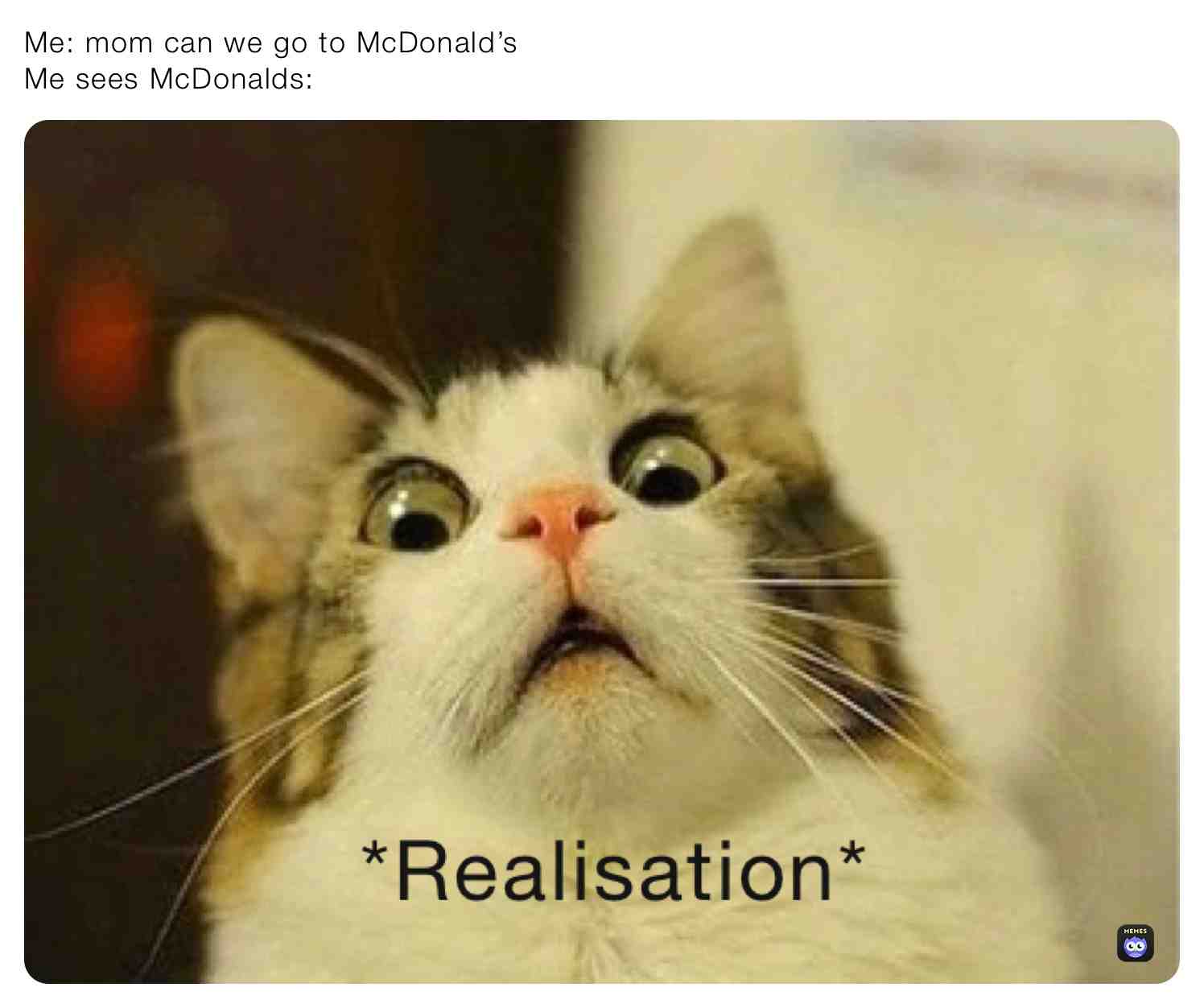 #Realisation #Meme #Likeformore
Follow for more funny memes \u2014> @LittleCookieUwU