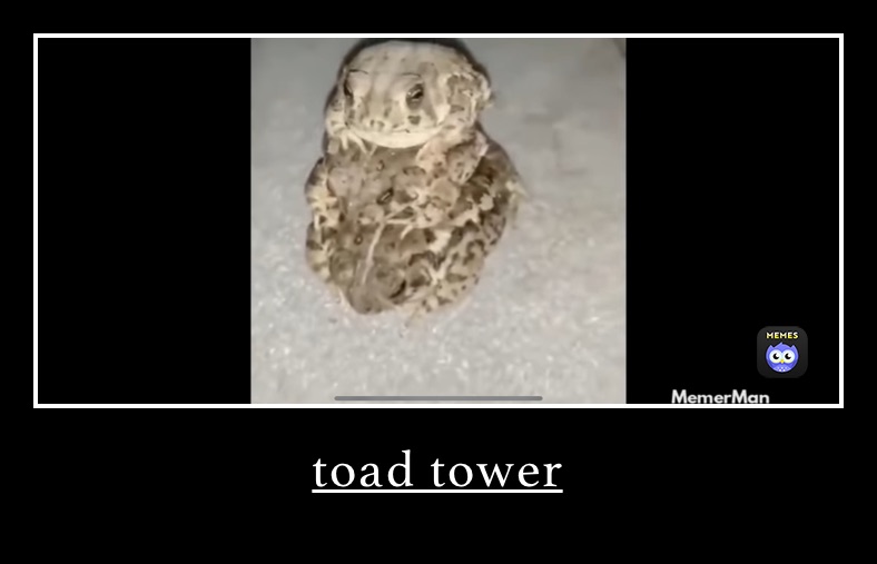 toad tower