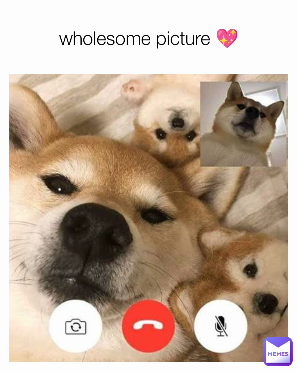 wholesome picture 💖