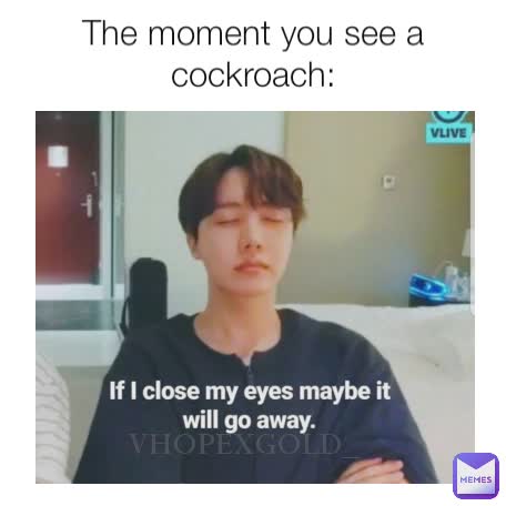 The moment you see a cockroach: VHOPEXGOLD_