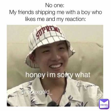 No one: 
My friends shipping me with a boy who likes me and my reaction: vhopexgold_