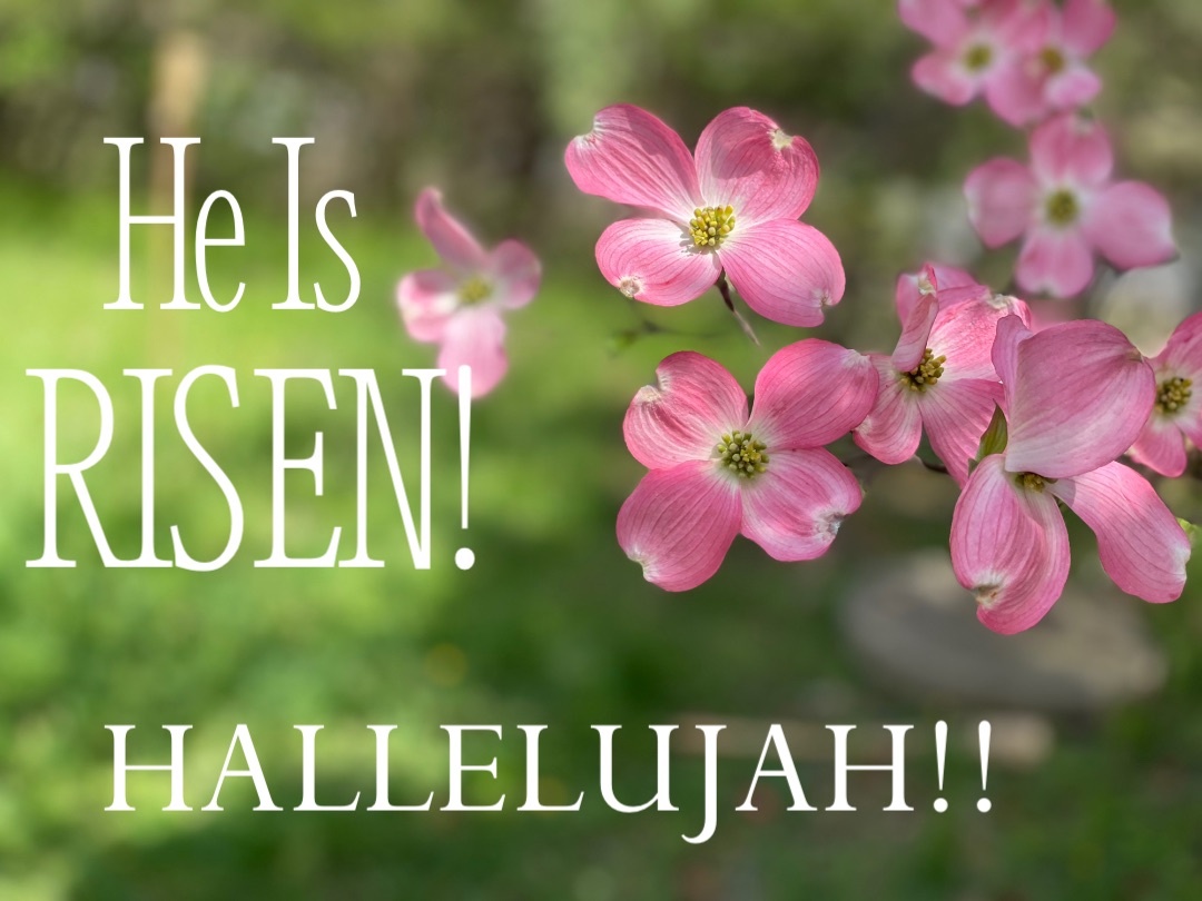 He Is RISEN! HALLELUJAH!!