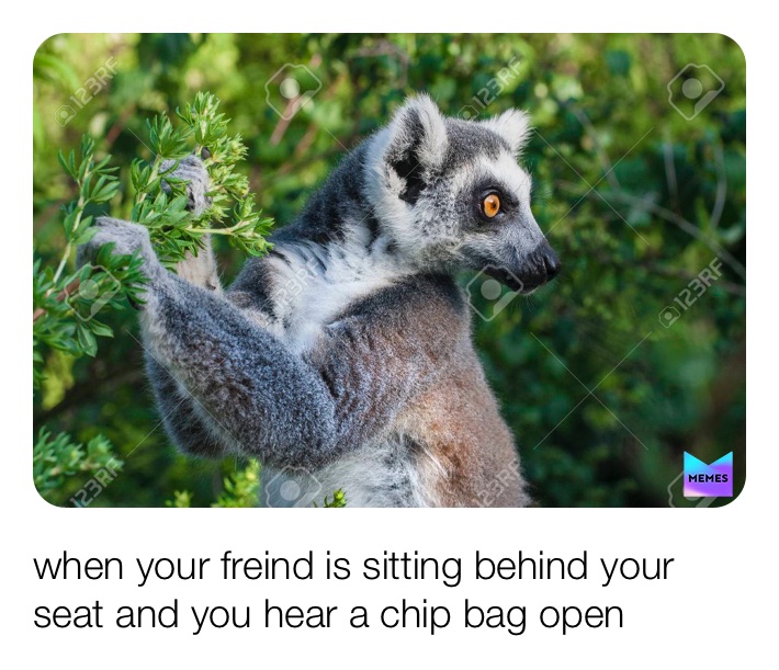 Meme by memester_taha