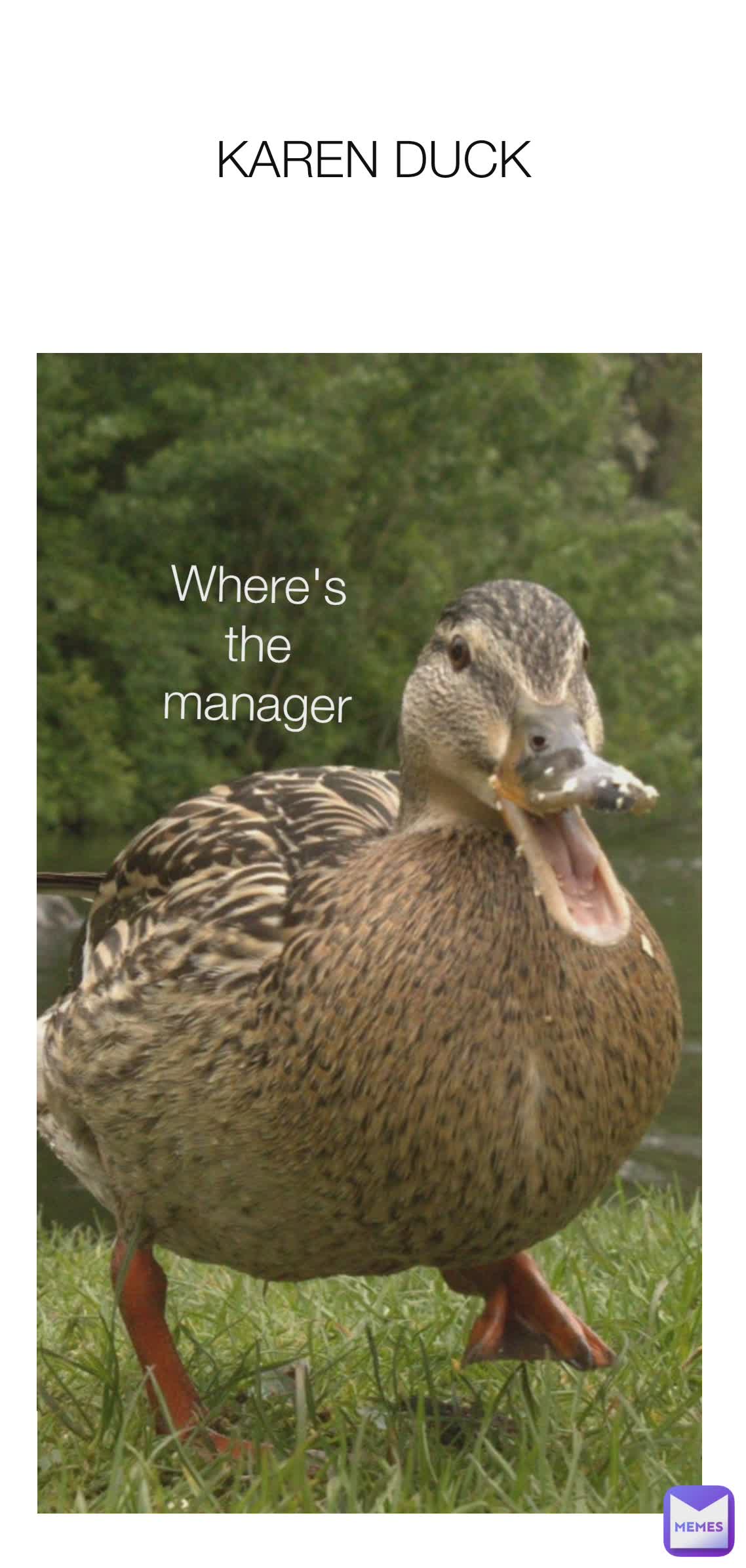 KAREN DUCK Where's the manager