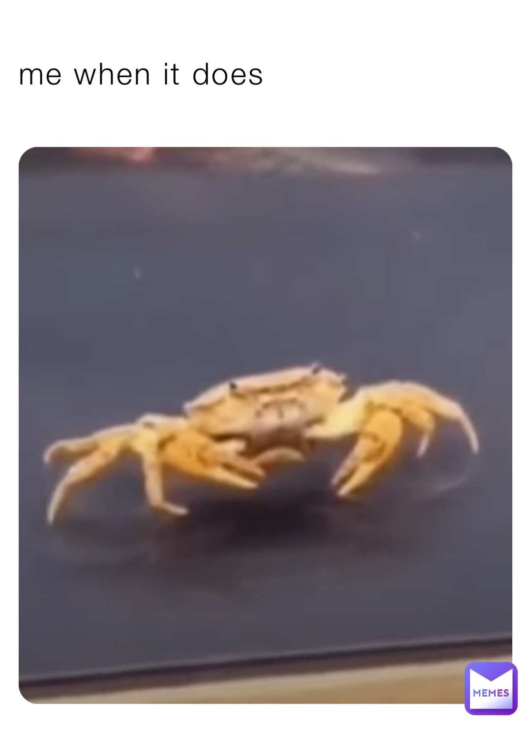 Meme by maxwell-schueneman