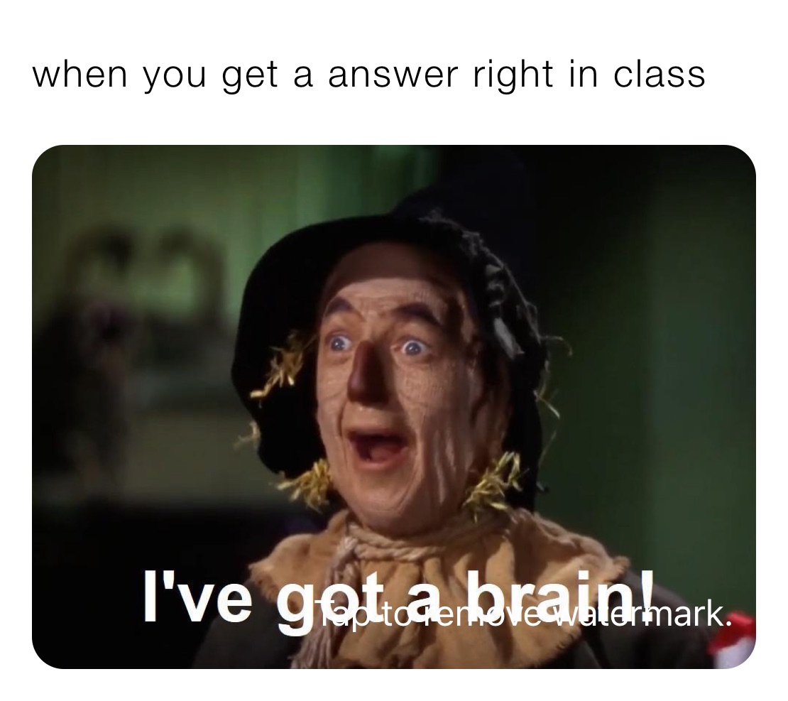 Meme by laurenosborn18