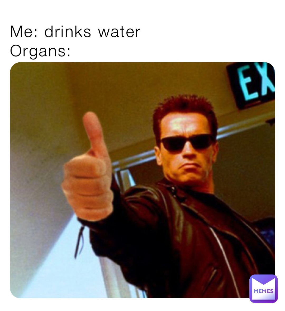 Me: drinks water 
Organs: