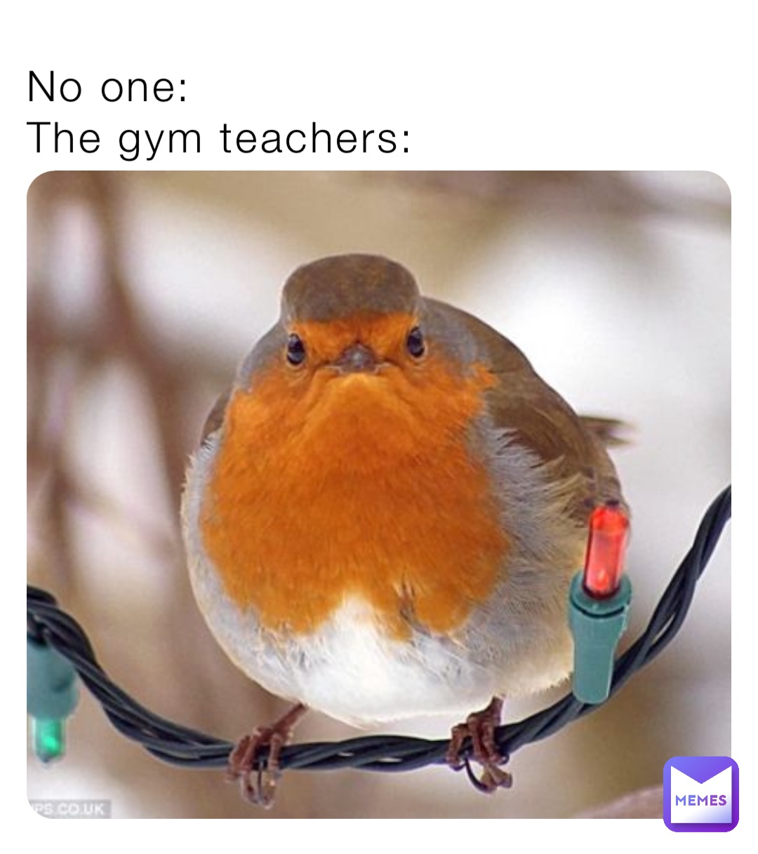 No one:
The gym teachers: