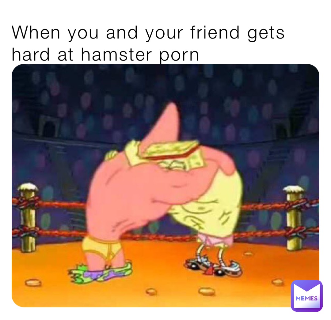 Cartoon Hamster Porn - When you and your friend gets hard at hamster porn | @Ryderkk | Memes