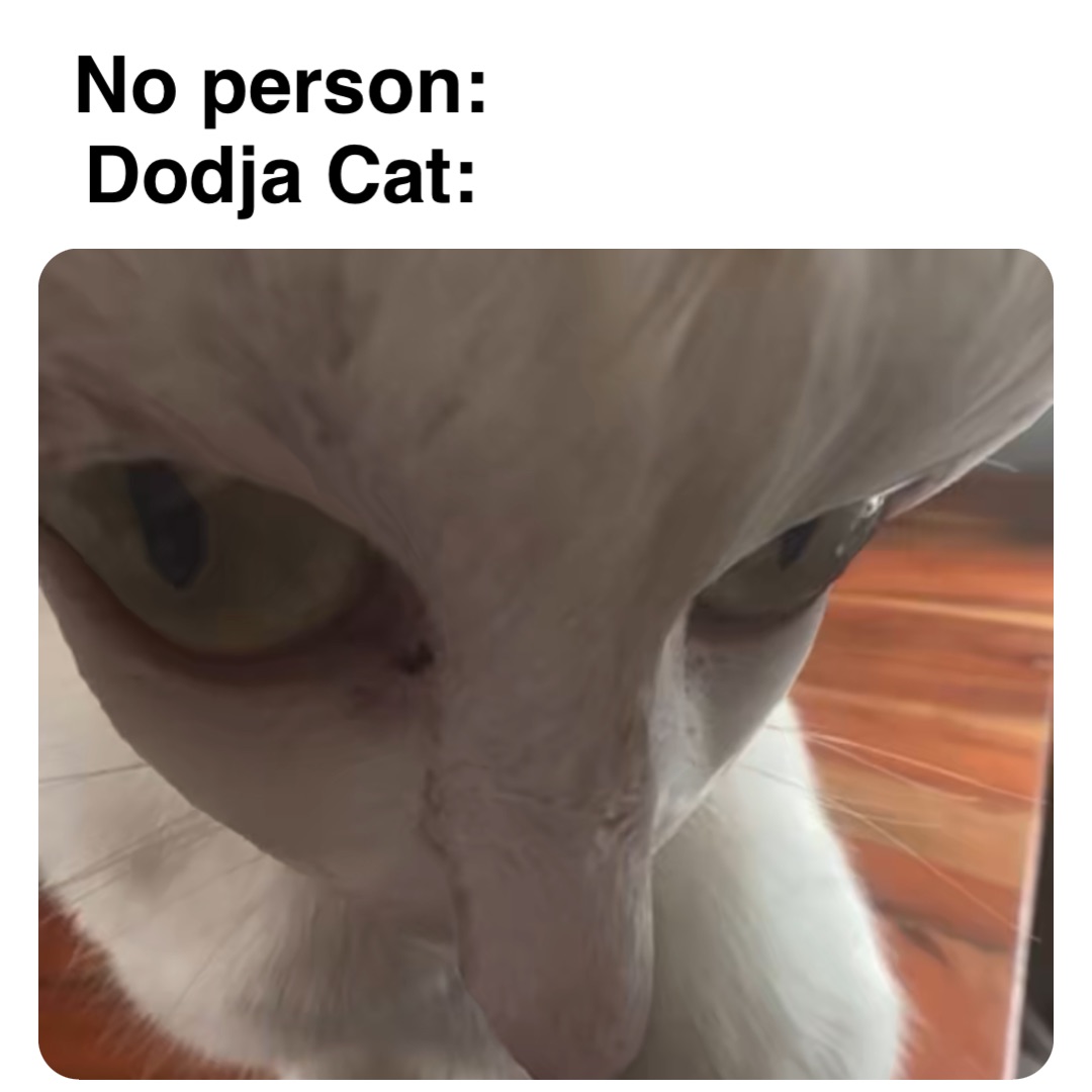 No person:
Dodja Cat: