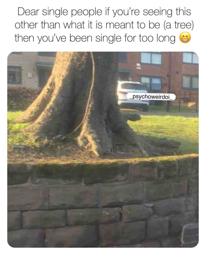 Another year another valentine spent single, if this is you don’t pass without leaving a mark 😂 #anotherone #meme #memes #memesdaily #instafollow #instalike #girlproblems #instamemes #instagood #instagram #dankmemesdaily #dankmeme #dank #dankmemes #life #drunkmemes #life #storyofmylife #crackingup #shocking #shocked #joker #joke #jokes #lifememes #funnymemes #reality #true #truth #thankyou #follow #share #fypwaitthisisnttiktok #fypage #fyp #makemefamous #valentine #valentines #valentinesday