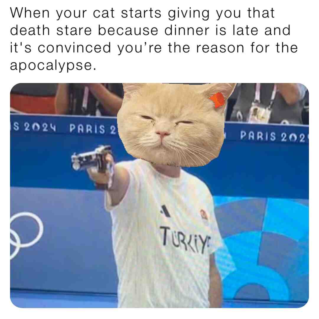 Meme preview