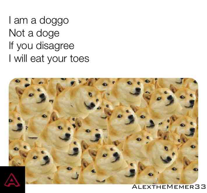 Meme shared by @cnznjds