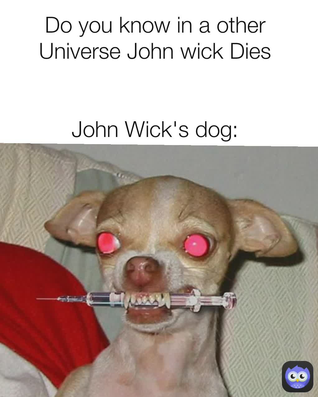 30 Hilarious John Wick Memes With Images Funny Jokes 3421