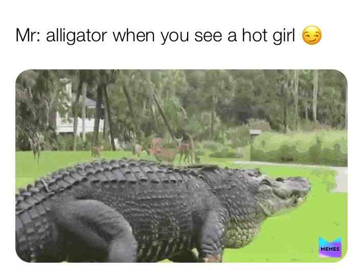First meme 10 over likes