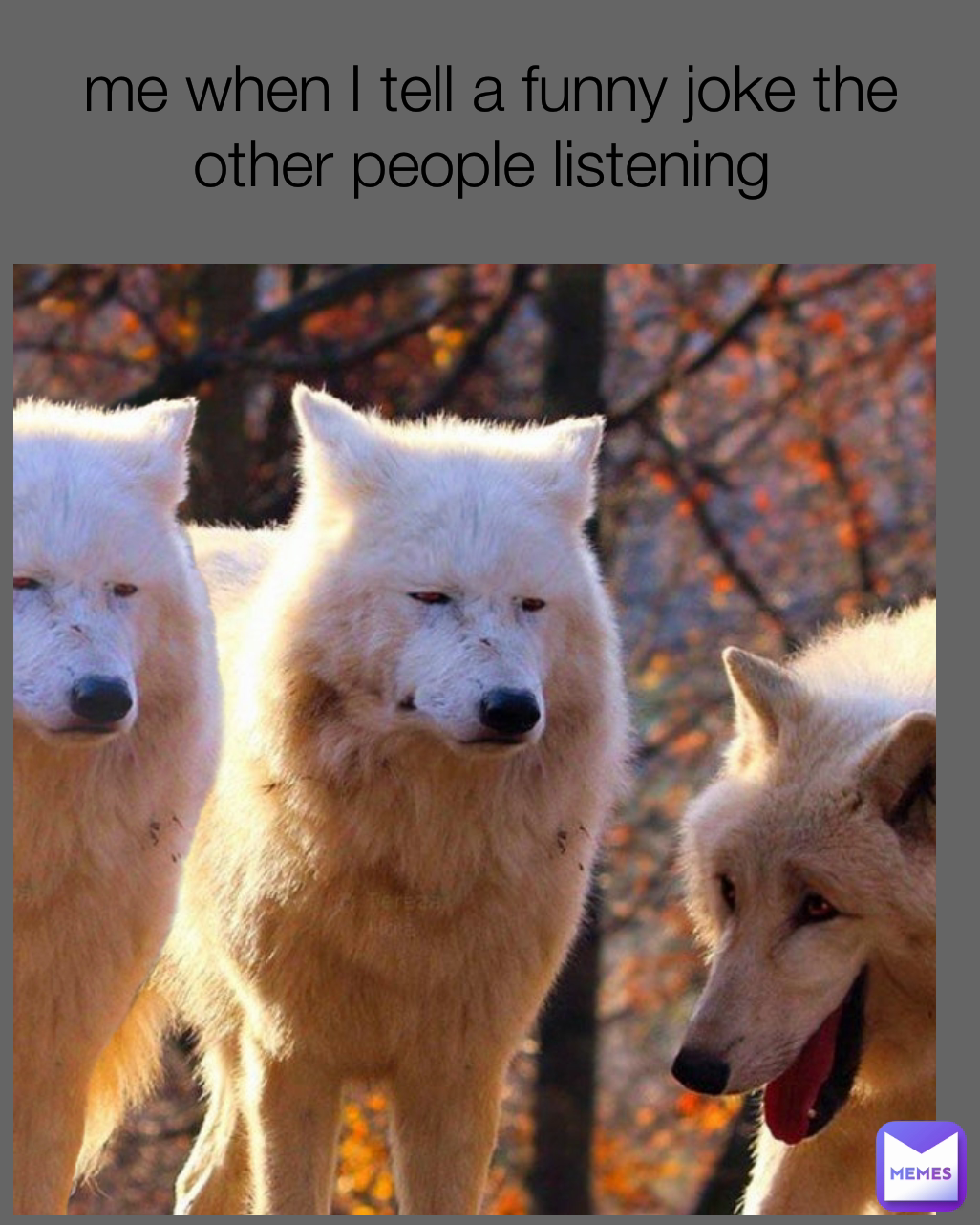 me when I tell a funny joke the other people listening 