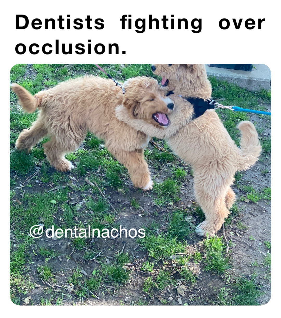 Dentists  fighting  over occlusion.