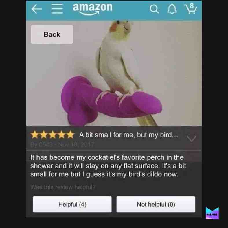 #funny #funnymemes #bd