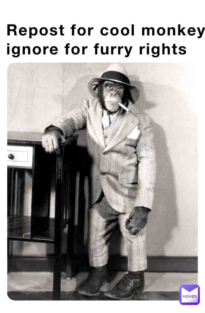 Meme shared by @Slut_Assasin_V2