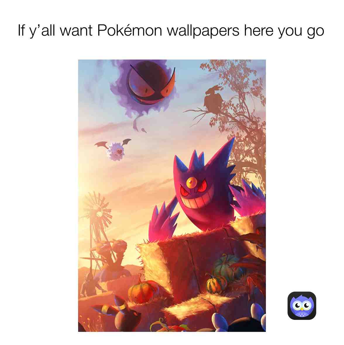 Here you go