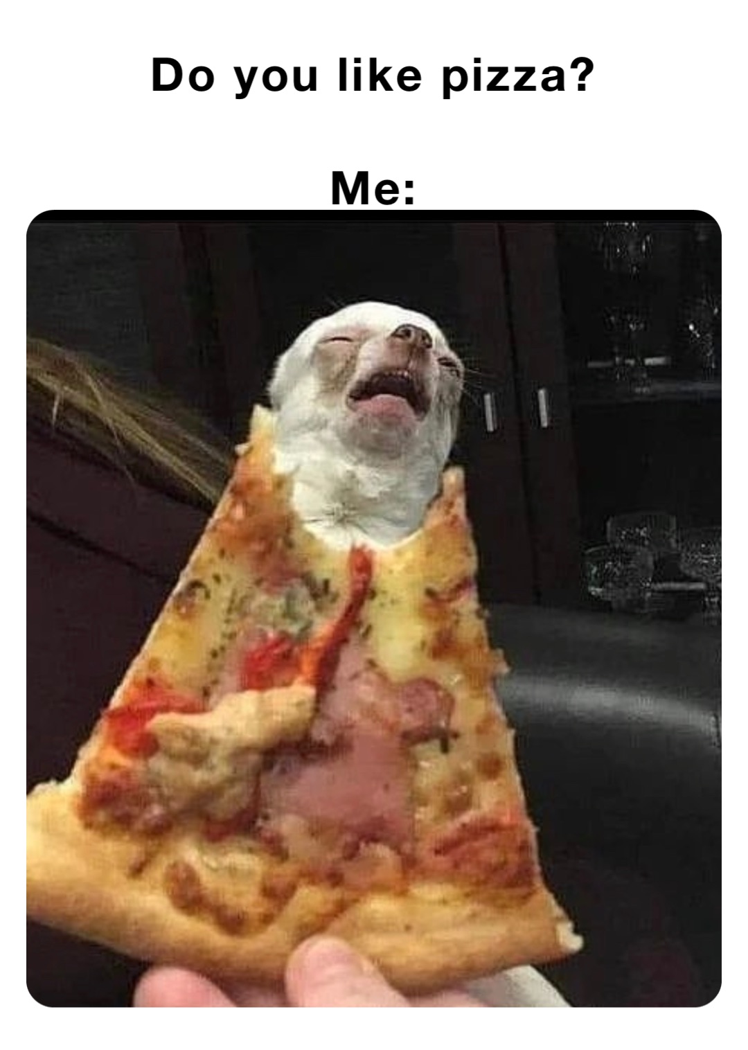 Do you like pizza?

Me: