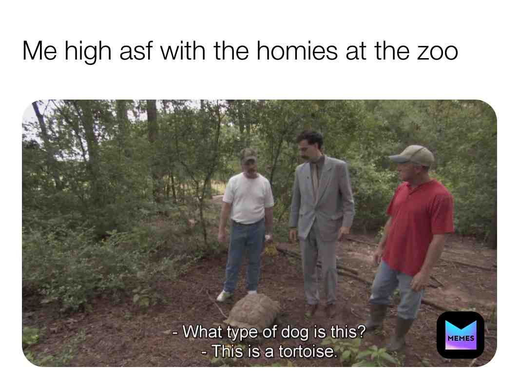 Meme preview
