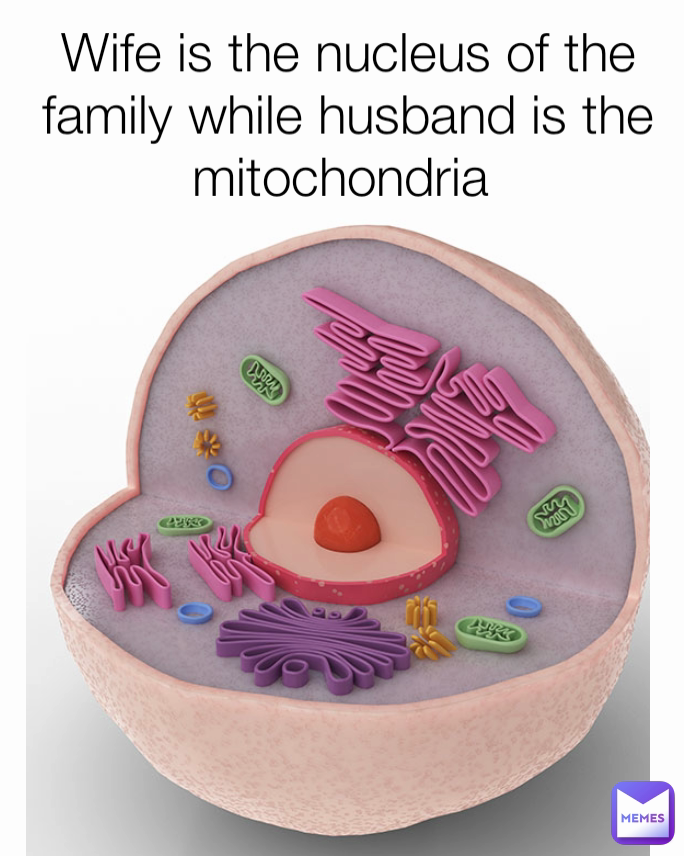 Wife is the nucleus of the family while husband is the mitochondria 