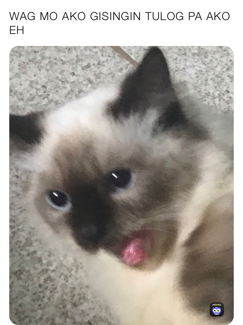 WAG MO AKO GISINGIN TULOG PA AKO EH