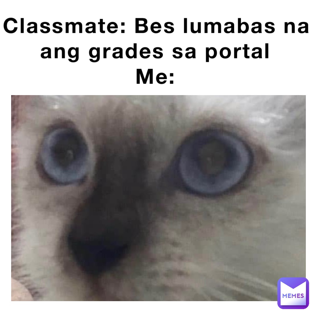 Classmate: Bes lumabas na ang grades sa portal
Me: