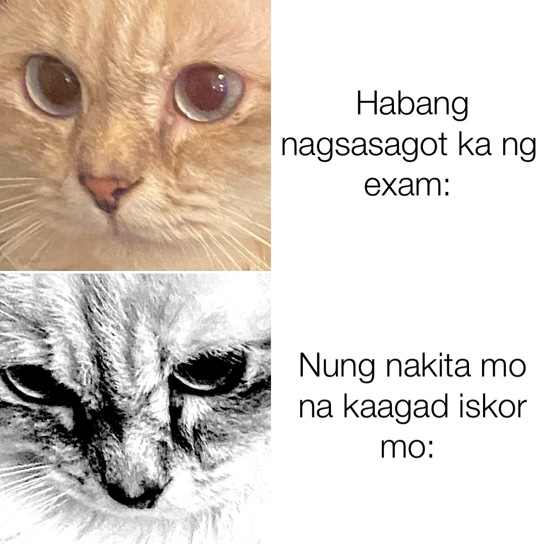 Habang nagsasagot ka ng exam: Nung nakita mo na kaagad iskor mo: