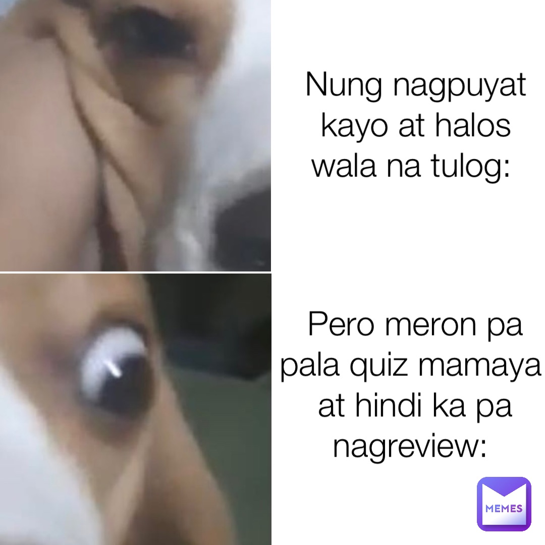 Nung nagpuyat kayo at halos wala na tulog: Pero meron pa pala quiz mamaya at hindi ka pa nagreview: