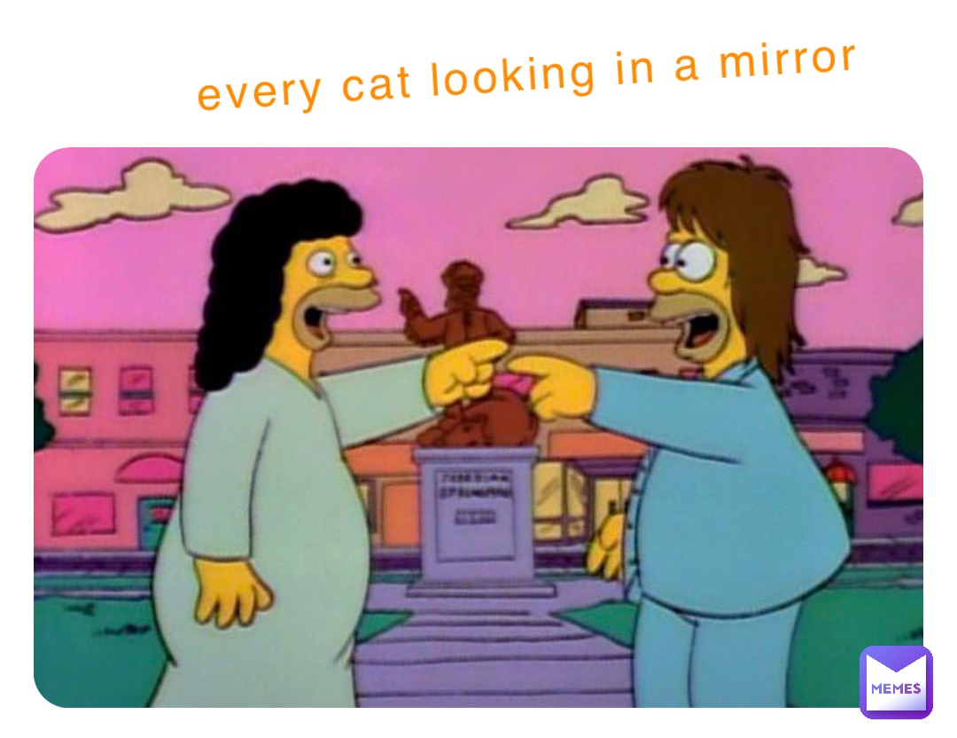 every cat looking in a mirror