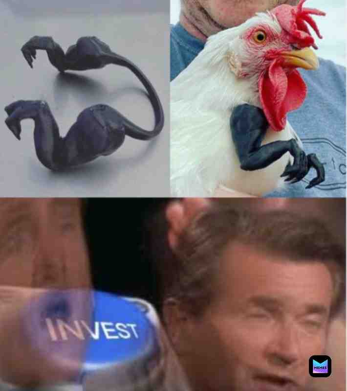 I n v e s t