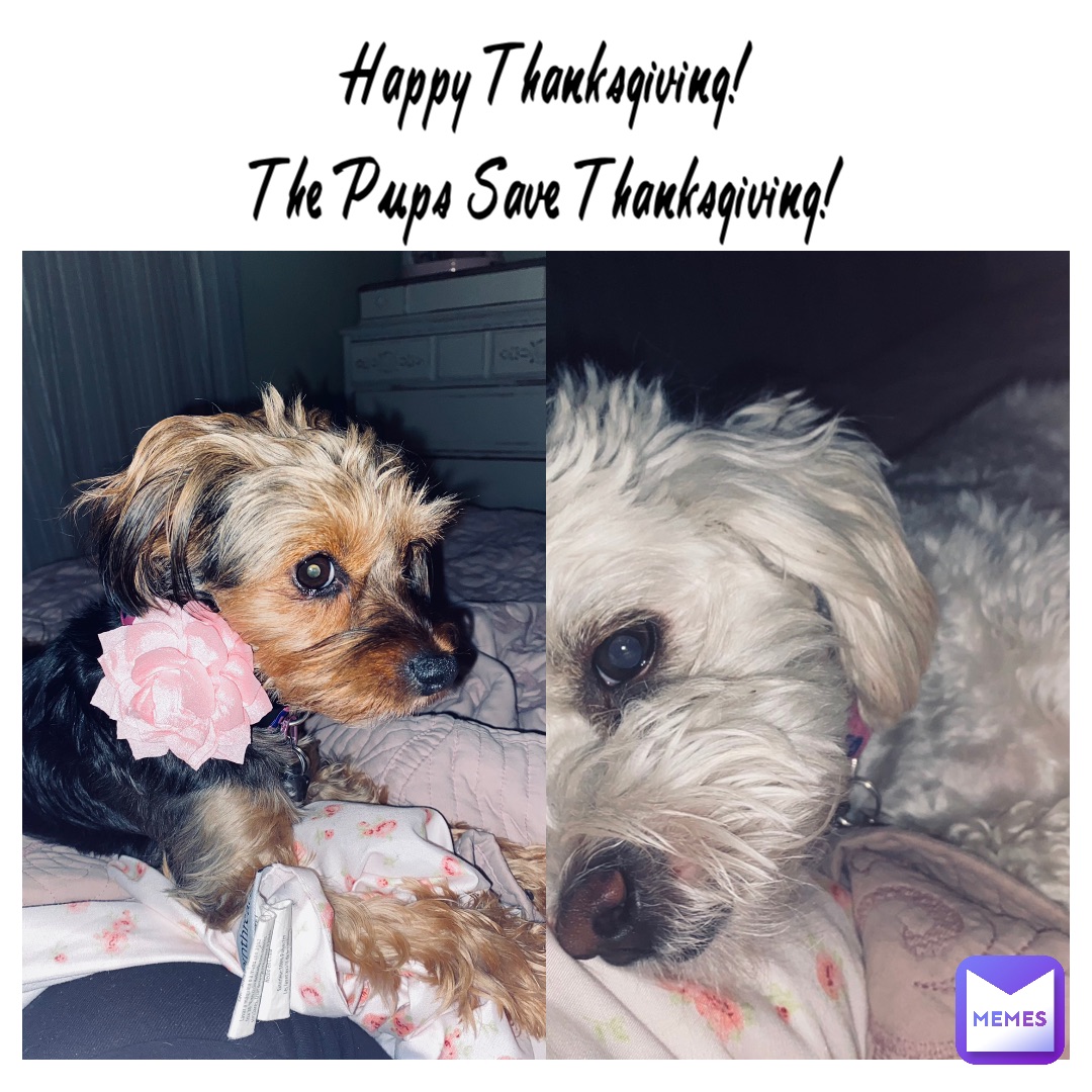 Happy Thanksgiving!
The Pups Save Thanksgiving!