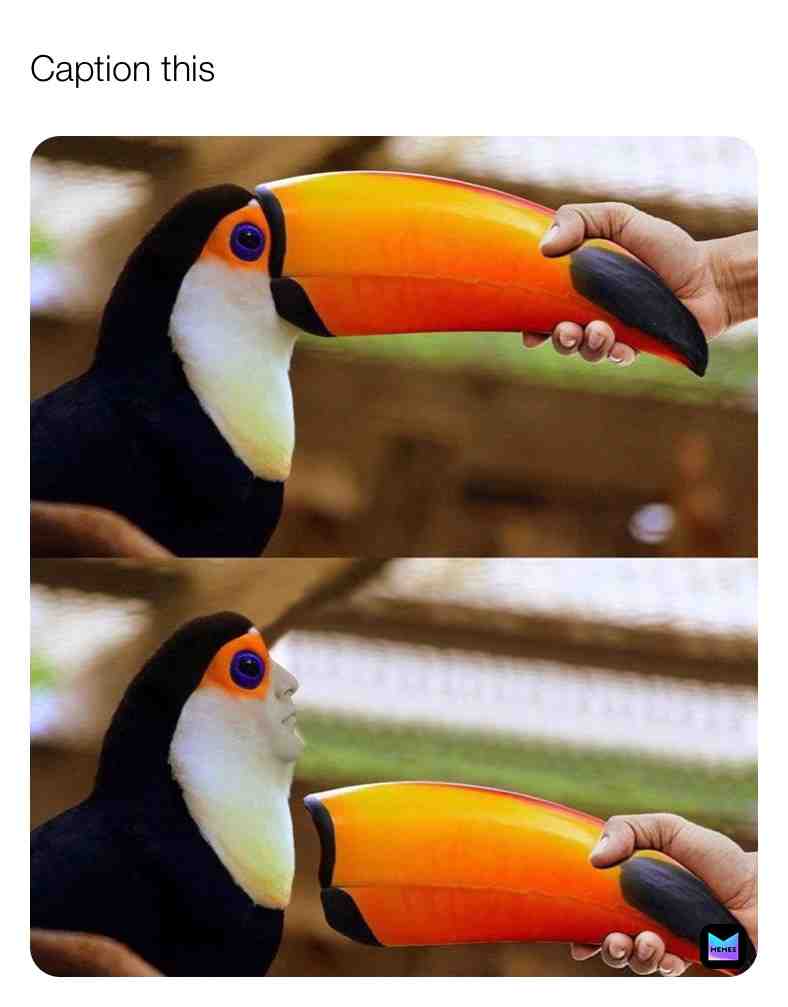 Caption this