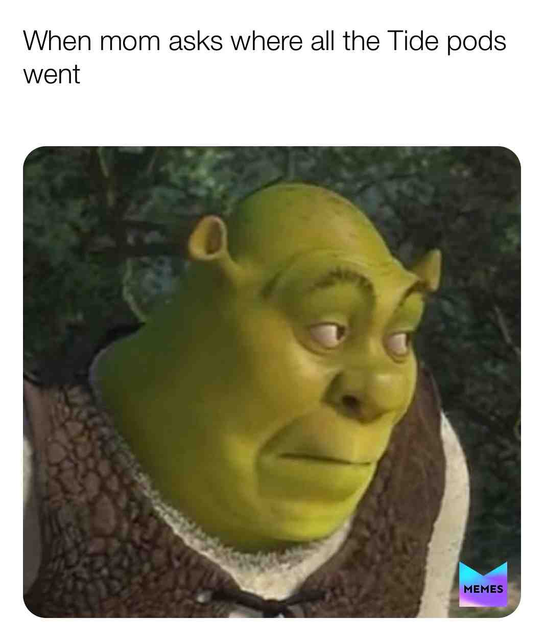 #shrek #memes #tidepods