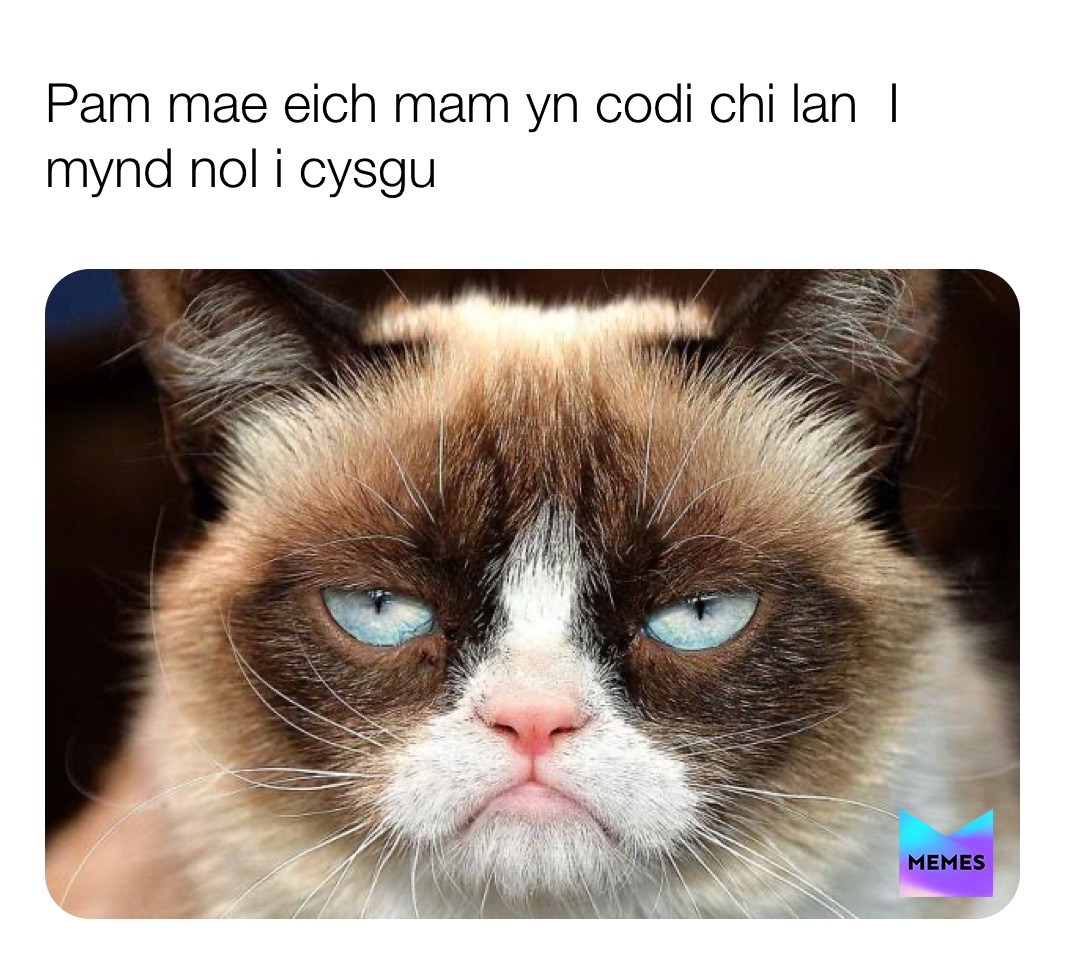 Meme by lemon_memess_for_life_