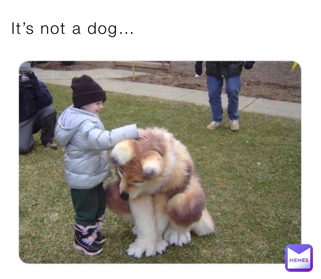 It’s not a dog…