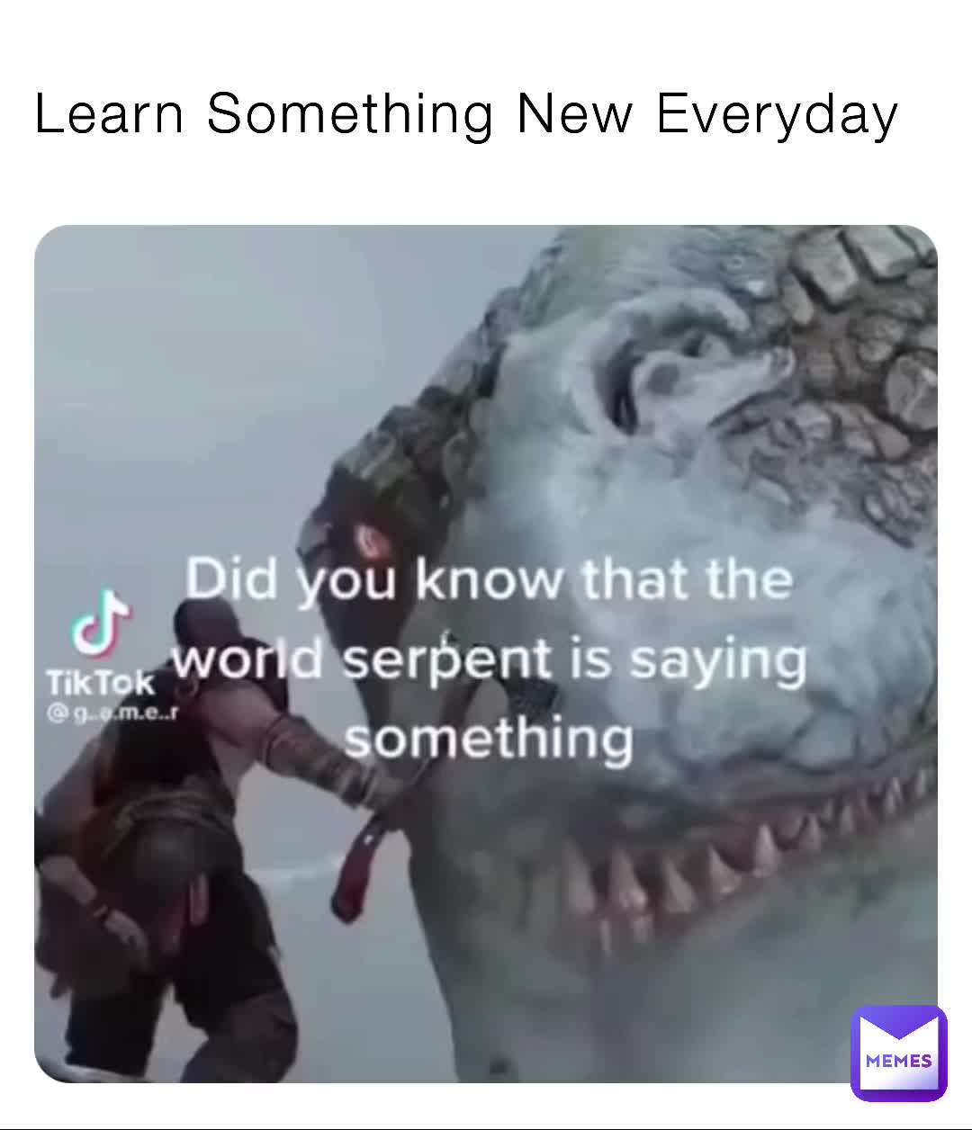 #omg  #furry  #goodmemes  #viral  #shitpost  #chad  #memes  #ifonly  #wait  #holdup