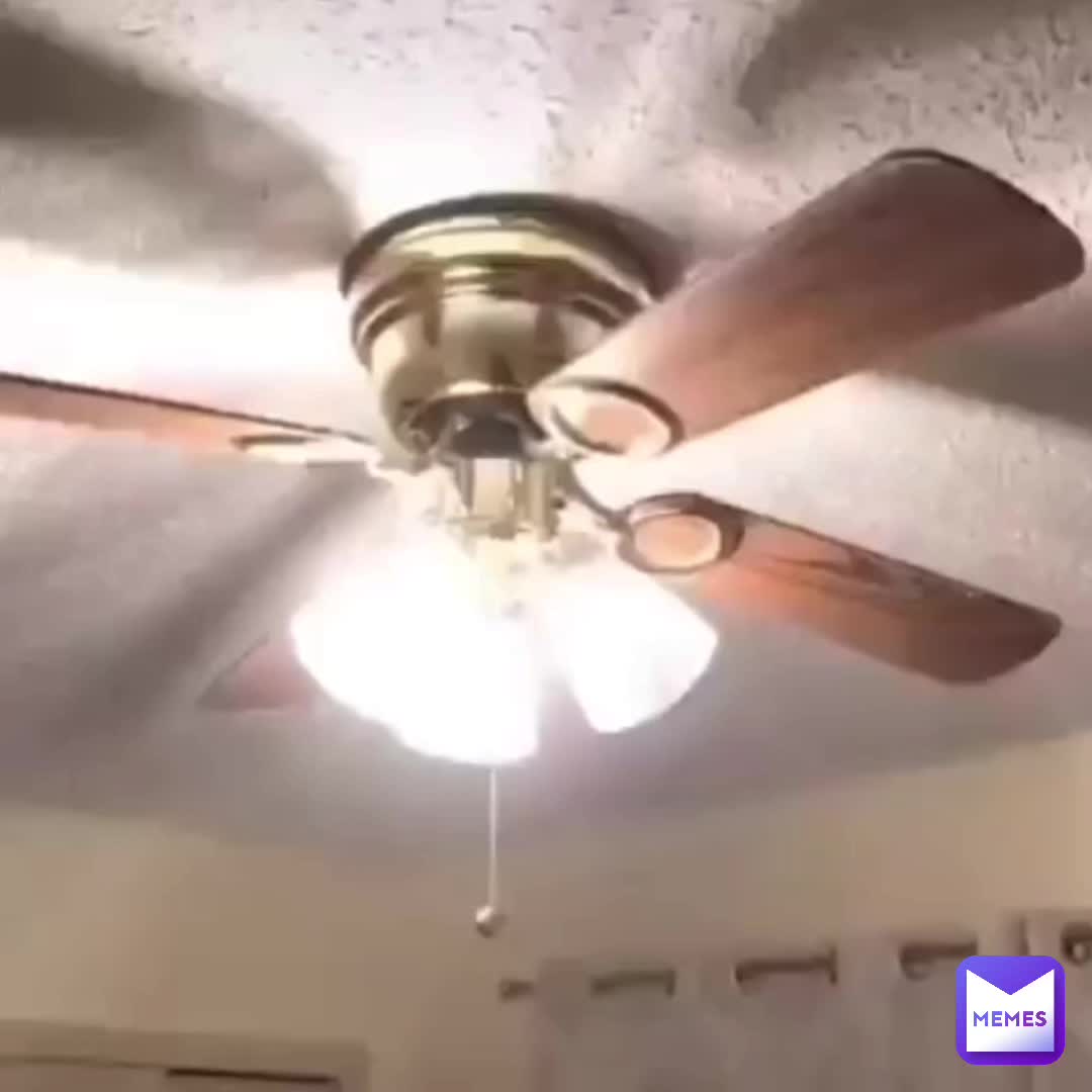 #fan  #onlyinohio  #memes  #shit  #shitpost  #viral  #jesus  #goodmemes  #behl  #holdup