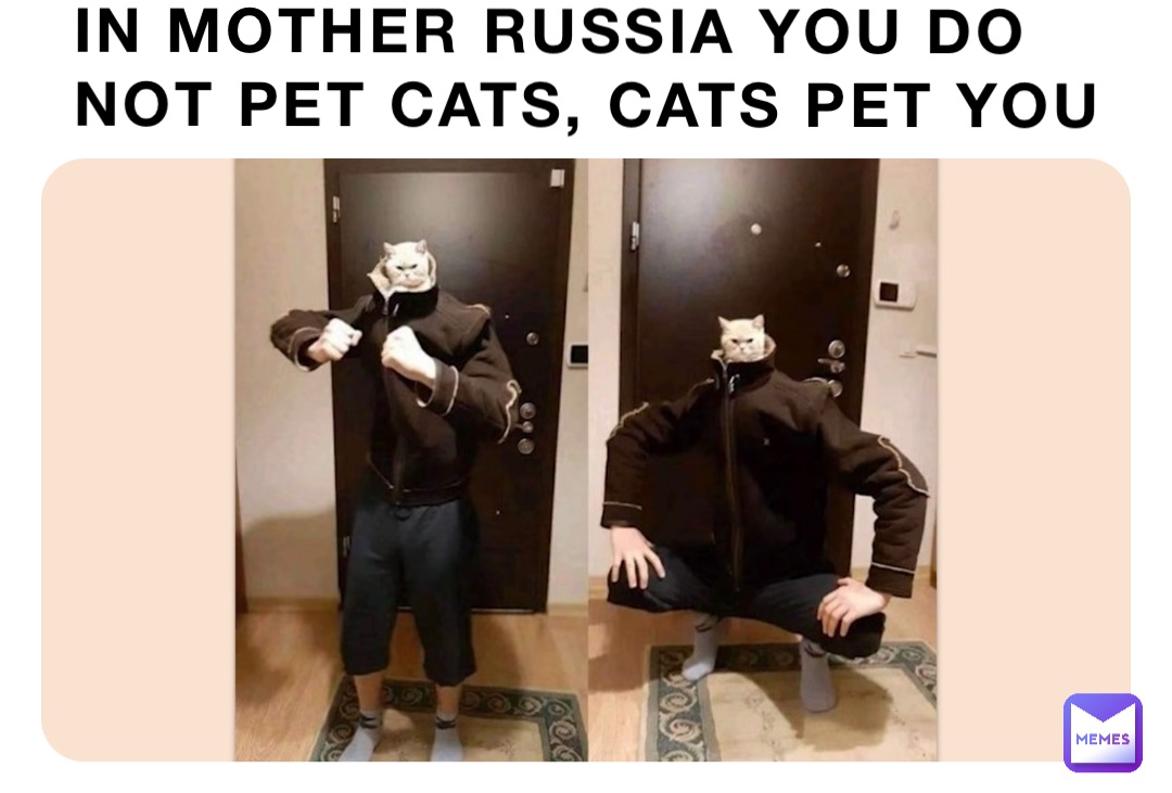 Meme by UltraWideZachHD