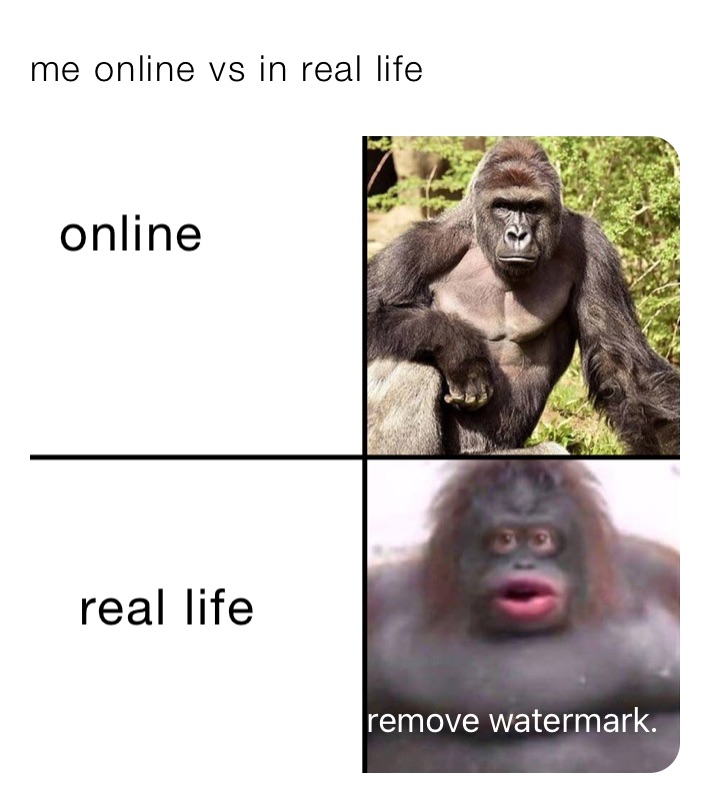 me online vs in real life 