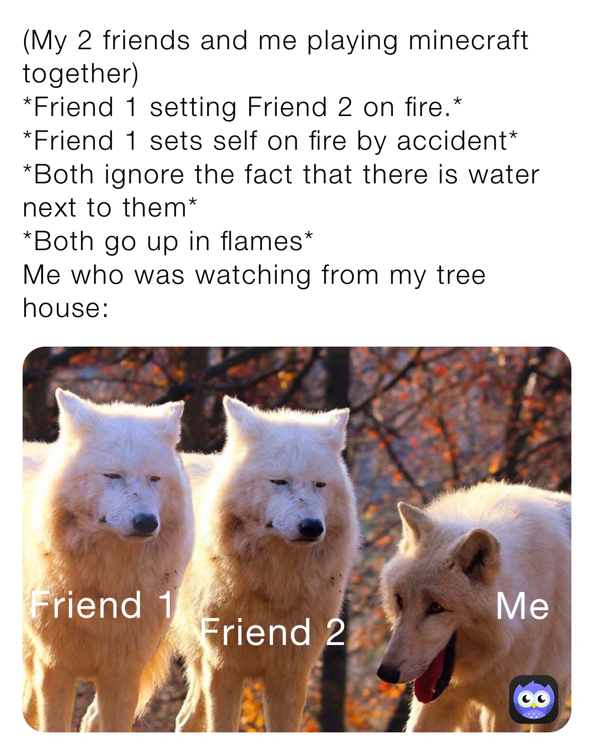 (My 2 friends and me playing minecraft together)
*Friend 1 setting Friend 2 on fire.* 
*Friend 1 sets self on fire by accident* *Both ignore the fact that there is water next to them*
*Both go up in flames*
Me who was watching from my tree house: