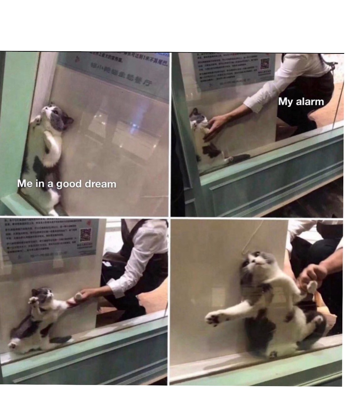 Meme by 101_meme_master_1